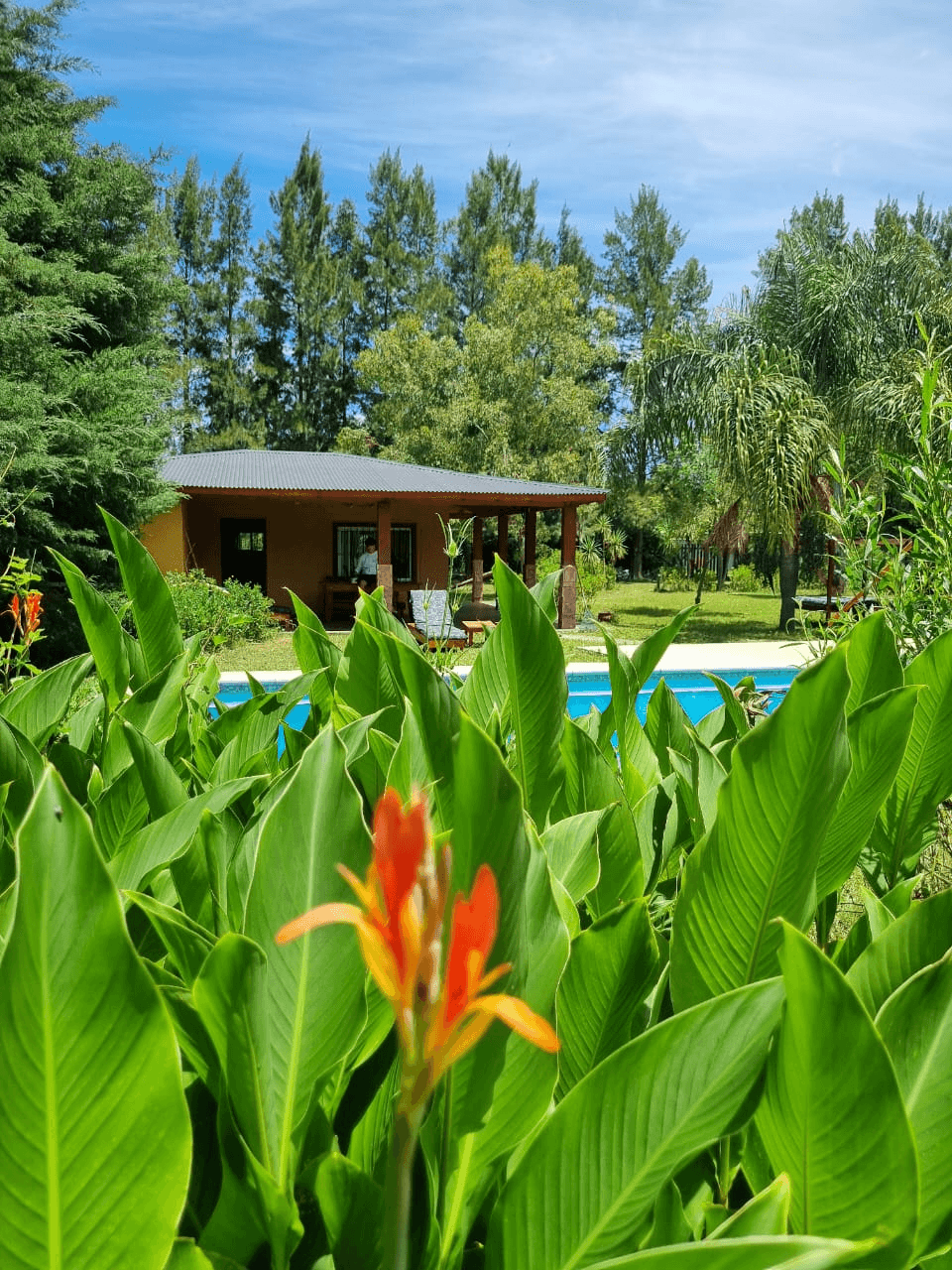 Quinta ElFaro — foto 1