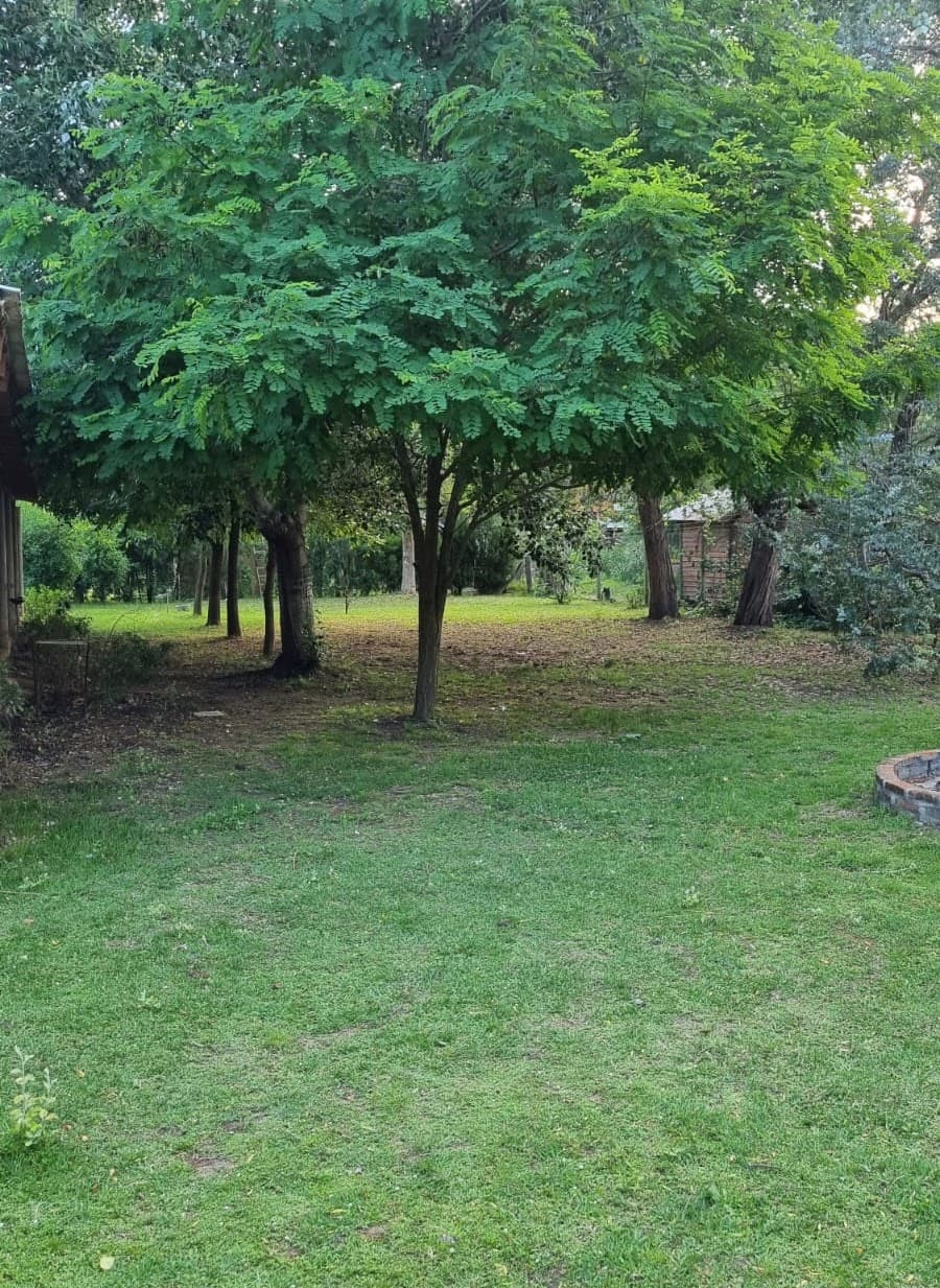 Quinta Alquimia — foto 3