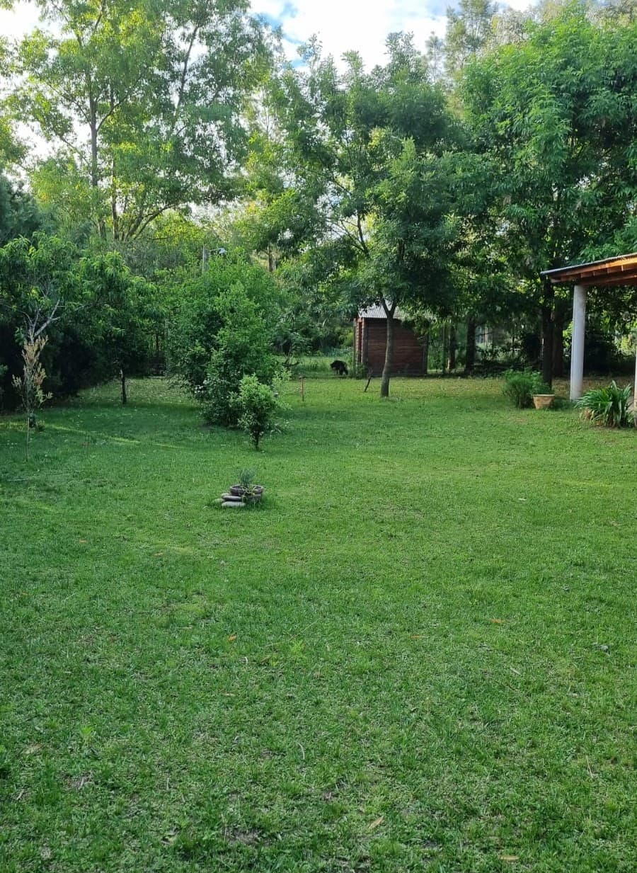 Quinta Alquimia — foto 4