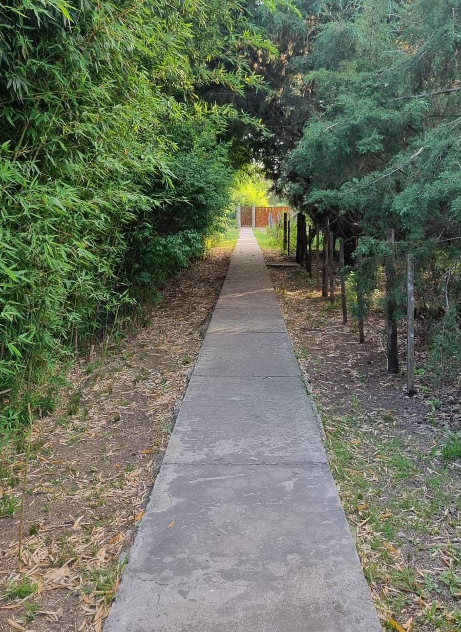 Quinta Alquimia — foto 5